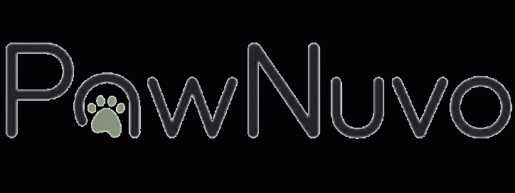 logopawnuvo